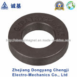 Plastic Injection Bonded Ring Shaped Permanent Magnet 241 for Automobile