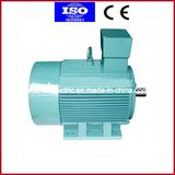 Three Phase AC 12V Electric Motor