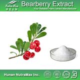 Bearberry Leaf Extract 99% Arbutin Used for Personal Care