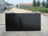 Poplar Film Faced Plywood Black Color (21mm)