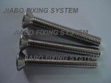 Stainless Steel Allen Key Bolt (SSAKB)