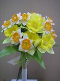 Daffodil