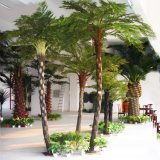 Strange Artifical Sala Palm Tree with Wholesale Price