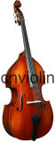 Five Strings Bass (LC-B050E)
