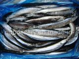 Frozen Pacific Saury Fish