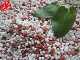 NPK Water Soluble Fertilizer (20-20-20+TE)