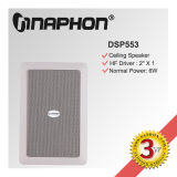 Ceiling Speaker (DSP906)
