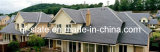 Chinese Non-Fading & Durable Natural Roofing Slate