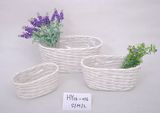 Willow Basket
