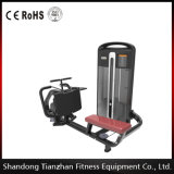 Commercial Fitness Equipment Machine / Low Row