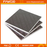 Biggest Factory in Xuzhou City Professional for Film Faced Plywood