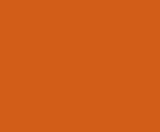 Disperse Orange 29