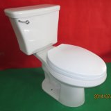 Elongated Two Piece Toilet
