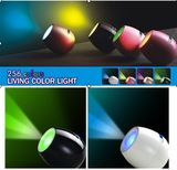 Mini LED Light, Christmas Light, Mini Light Holiday Decoration Lights