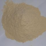 Wheat Gluten Meal for Animal Feed