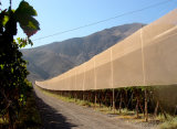 Meyabond 60 Mesh Anti-Insect Greenhouse Net