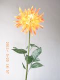Artificial Dahlia