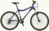 MTB, Mountain Bike, Mountain Bicycle (1226)