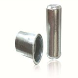Small Head Round Body Close End Rivet Nut