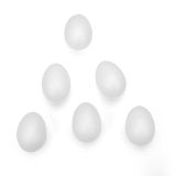 Styrofoam Egg, Various Sizes Are Available