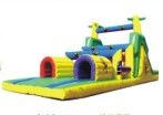 Inflatable Slide (QQ12208-11)