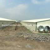 Full Set High Quality Steel Structure Poultry House