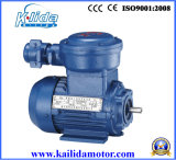 Yb3 Series Explosion-Proof Asynchronous Electric Motor
