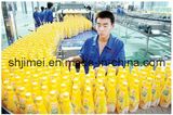 Fruit Juice Production Line