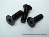 DIN7991hex Socket Countersunk Head Cap Screws for Industry