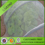 China Factory Offer New Virgin Anti Insect Net with UV