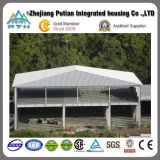 Pth Prefab Low Cost Steel Structure for Workshop