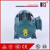 Three Phase Electric Induction Lift Motor with Factory Price