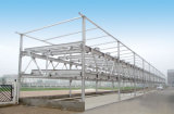 CE&BV Structural Steel Building