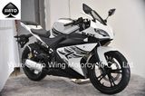 R8 Nice Design Popular Type High Quality Racing Motorcycle