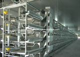 Poultry Cage Equipment