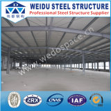 Large Span Steel Structure (WD101618)