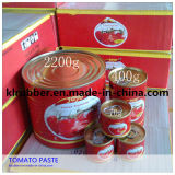 800g Good Concentrate Tomato Paste Factory, Brix28-30%