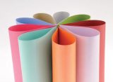 Environmental, Beatuful and Colorful Coated Paper