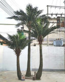 Home Decor Fiber Glass Artificial Coconut Palm Tree