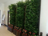 High Quality Artificial Plants and Flowers of Green Wall Gu-Wal008976600823