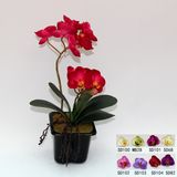 Plastic Orchid Flower