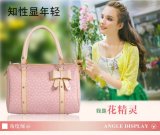 Fashionable Lady Handbag (kll1205-12)