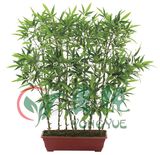 Yy-0124 New Artificial Bonsai Artificial Bamboo Plants