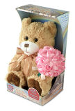 Record Voic Bouquet Bear Toy