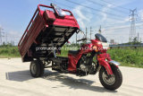 200cc Cargo Tricycle with Water Cooling (TR-4)