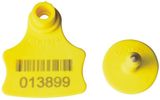 Ear Tags