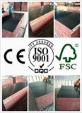 Huabao Building Materials