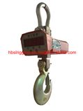 Electronic Crane Scales