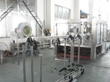 Complete Bottled Juice Production Line