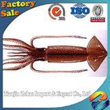 Squid Flower to Frozen Squid Importers Various Types of Seafood